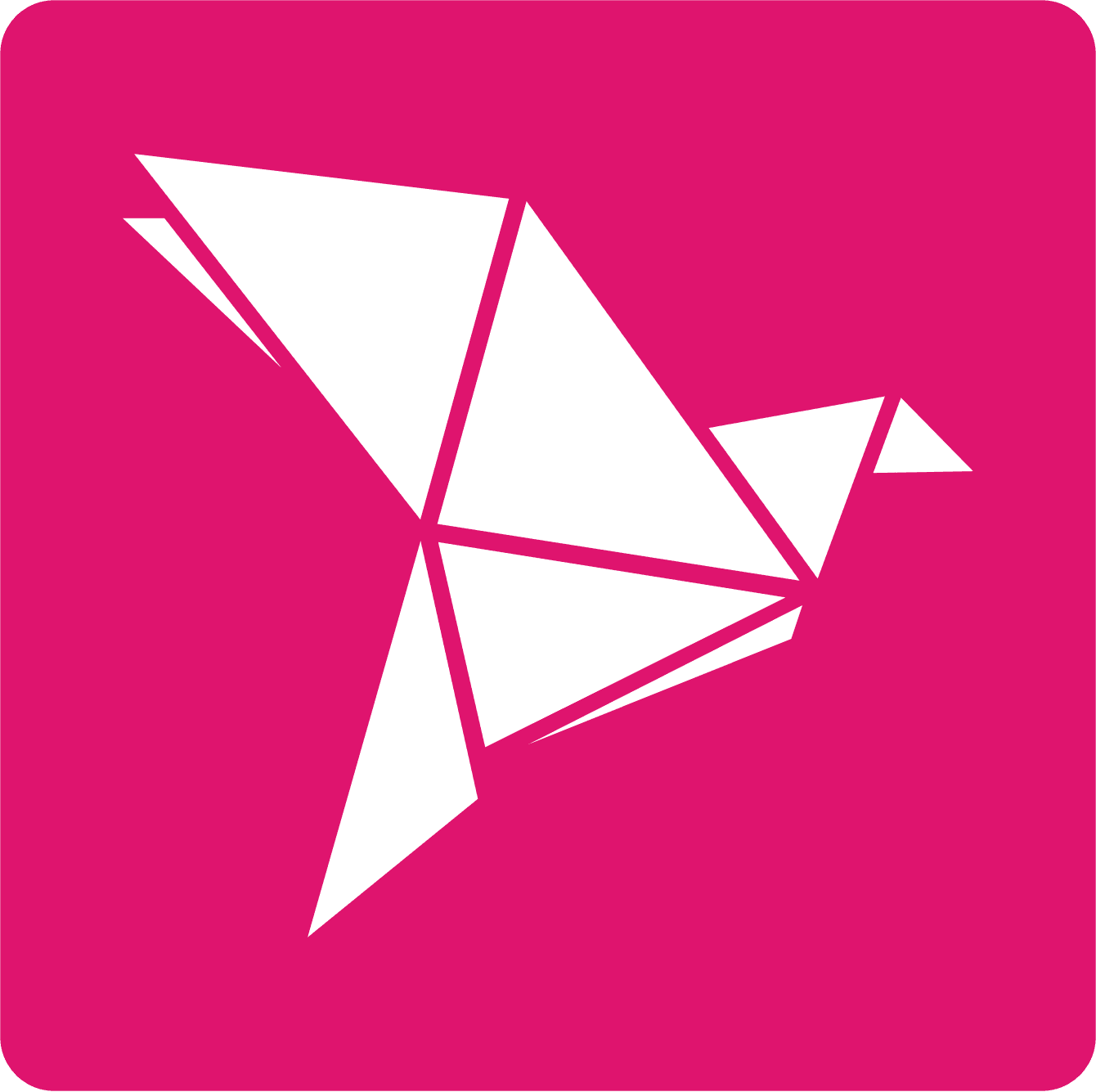 bKash app icon